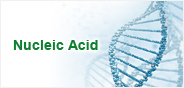 Nucleic Acids