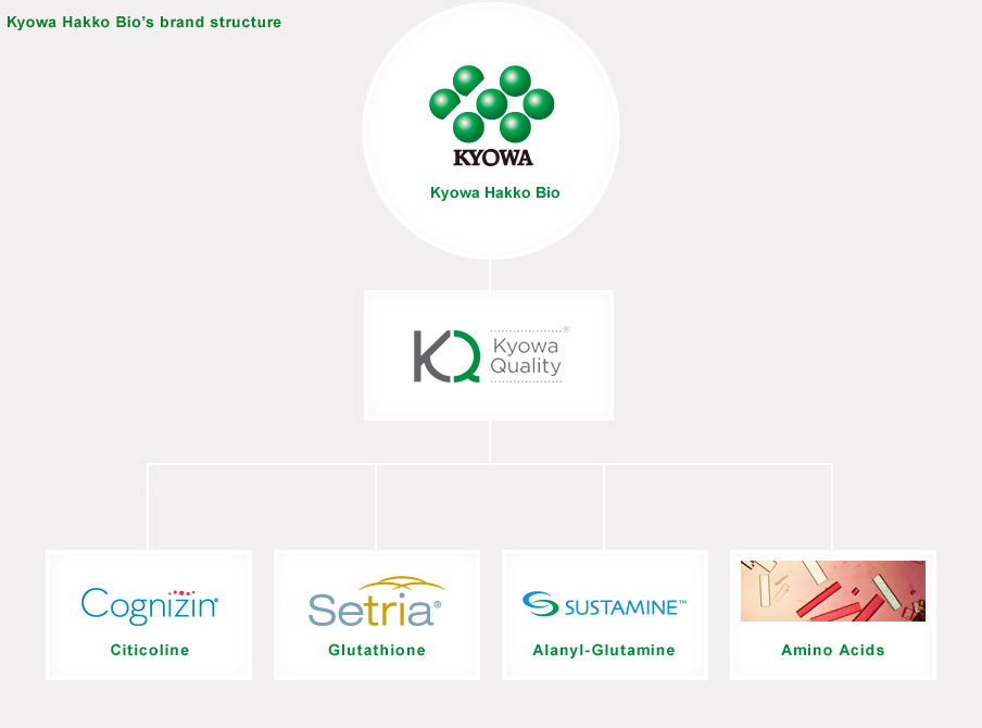 Kyowa Hakko Bio’s brand structure