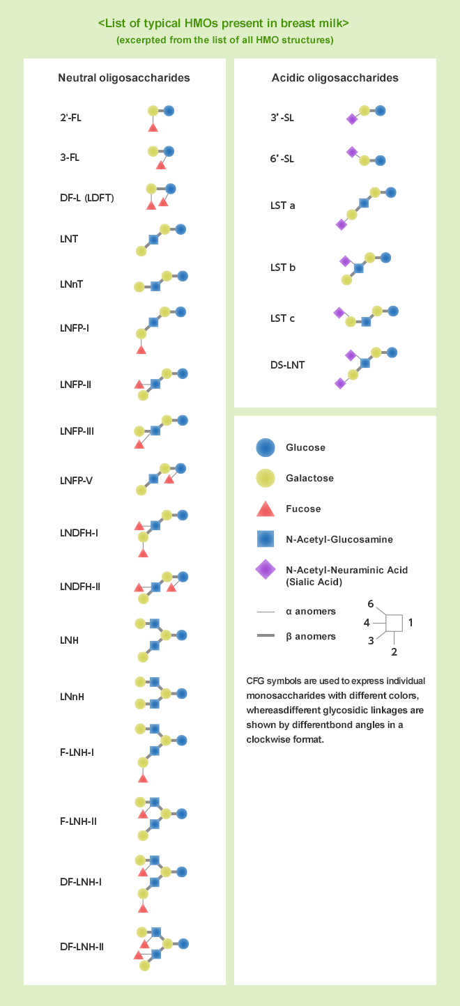 list of typical HMOs present in breast milk (excerpted from the list of all HMO structures)