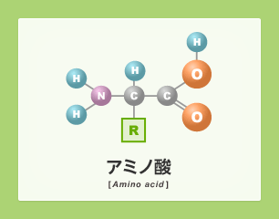 「アミノ酸」の画像検索結果