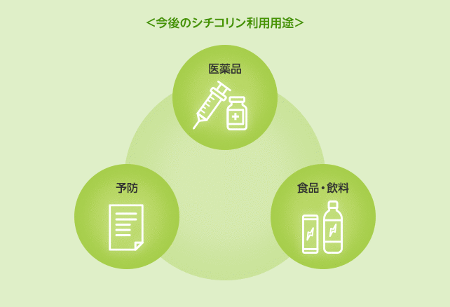 今後のシチコリン利用用途