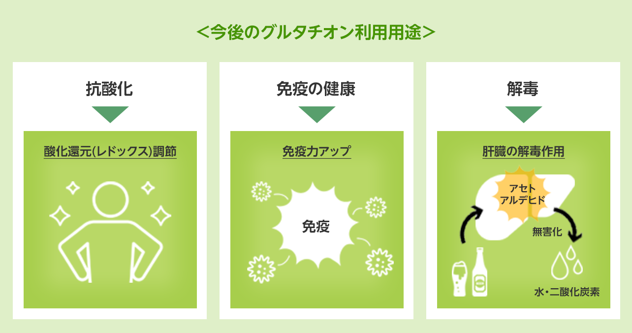 今後のグルタチオン利用用途