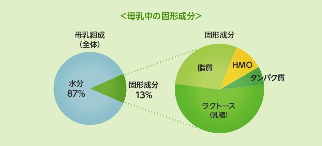 母乳中の固形成分